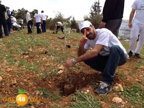 ludandyaffazaitoon (25).JPG